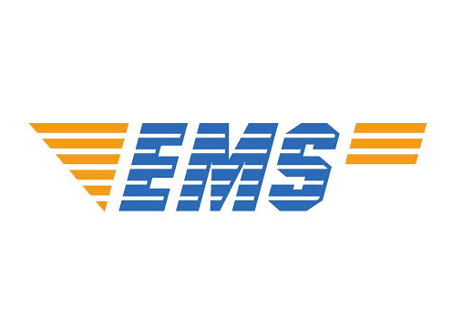 Logo EMS